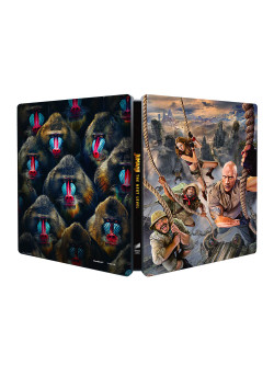 Jumanji: The Next Level (Ltd Steelbook) (Blu-Ray 4K Ultra Hd+Blu-Ray)