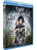 Edward Aux Mains D Argent [Edizione: Francia]