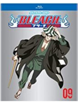 Bleach (Tv) Set 9 (4 Blu-Ray) [Edizione: Stati Uniti]