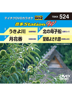 (Karaoke) - Onta Station W [Edizione: Giappone]