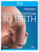 From Conception To Birth [Edizione: Regno Unito]