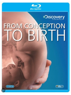 From Conception To Birth [Edizione: Regno Unito]