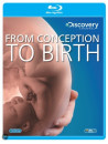 From Conception To Birth [Edizione: Regno Unito]
