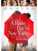 Rainy Day In New York [Edizione: Stati Uniti]