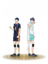 (Animation) - Haikyu!! Sainou To Sense [Edizione: Giappone]