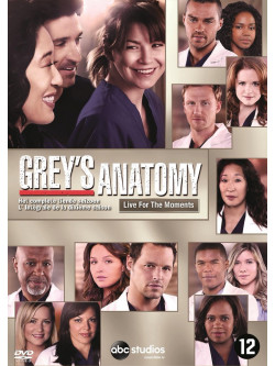 Grey'S Anatomy Season 10 (6 Dvd) [Edizione: Paesi Bassi]