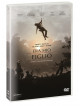 Era Mio Figlio