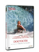 Dogtooth