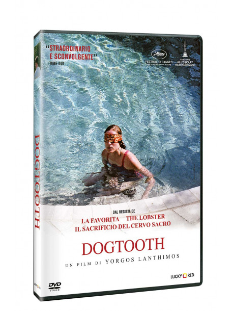 Dogtooth