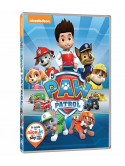Paw Patrol