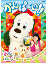 (Kids) - Inai Inai Baa! Kanpai!! [Edizione: Giappone]