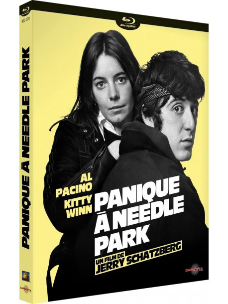 Panique A Needle Park [Edizione: Francia]