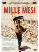 Mille Mesi