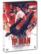 Ip Man - Kung Fu Master