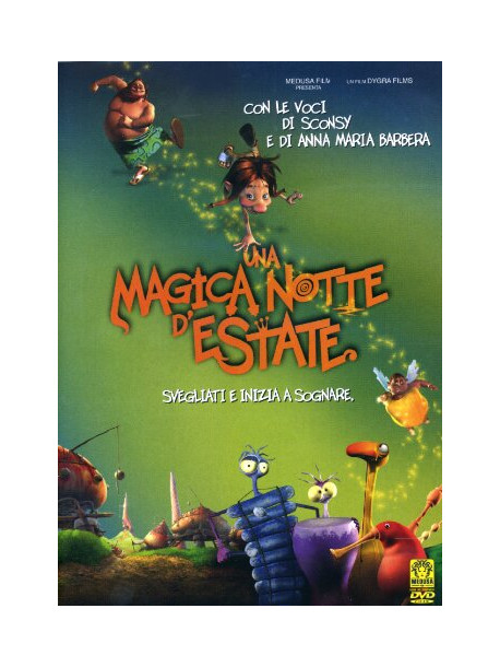 Magica Notte D'Estate (Una)
