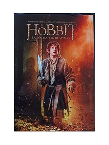 Le Hobbit 2 La Desolation De Smaug [Edizione: Francia]