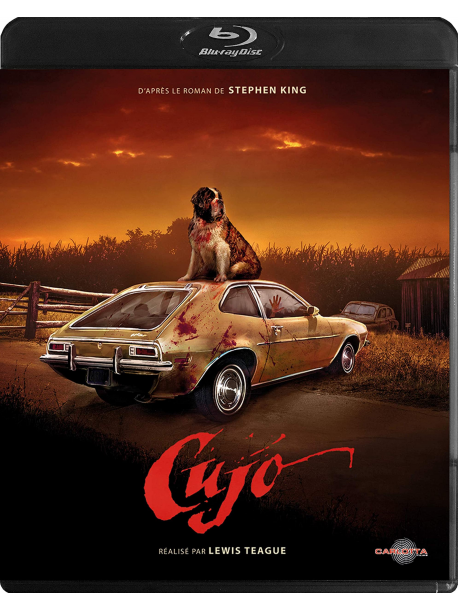 Vivement Dimanche [Edizione: Francia]