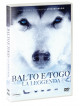 Balto E Togo - La Leggenda
