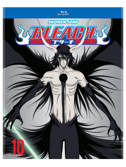 Bleach (Tv) Set 10 (4 Blu-Ray) [Edizione: Stati Uniti]