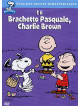 Peanuts - E' Il Brachetto Pasquale, Charlie Brown