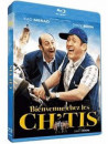 Bienvenue Chez Les Ch Tis [Edizione: Francia]