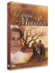 Le Grand Meaulnes [Edizione: Francia]