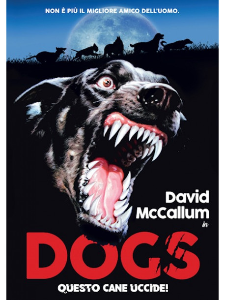 Dogs - Questo Cane Uccide! (Limited Edition) (Dvd+Poster)