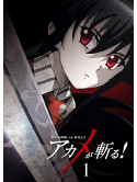 (Animation) - Akame Ga Kiru! Vol.1 [Edizione: Giappone]