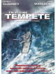 En Pleine Tempete [Edizione: Francia]