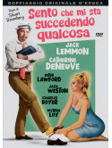 Sento Che Mi Sta Succedendo Qualcosa