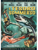 Tesoro Sommerso (Il)