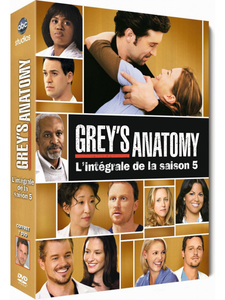 Grey S Anatomy Saison 5 (7 Dvd) [Edizione: Francia]