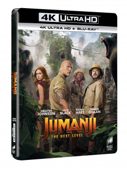 Jumanji: The Next Level (Blu-Ray 4K Ultra HD+Blu-Ray)