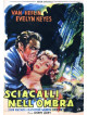 Sciacalli Nell'Ombra