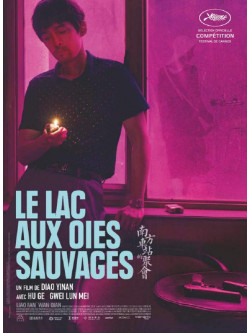 Le Lac Aux Oies Sauvages [Edizione: Francia]