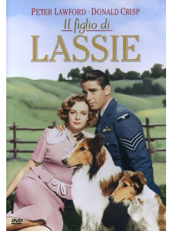 Lassie - Il Figlio Di Lassie