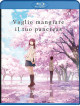 Voglio Mangiare Il Tuo Pancreas (Standard Edition)