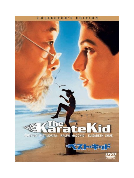 Ralph Macchio - The Karate Kid [Edizione: Giappone]