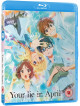 Your Lie In April Part 1 [Edizione: Regno Unito]
