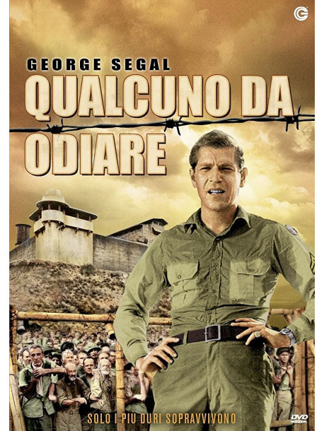 Qualcuno Da Odiare