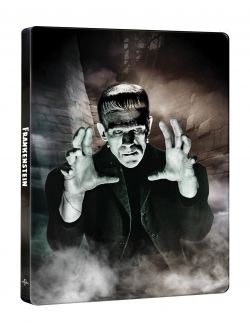 Frankenstein (1931) (90Th Anniversary Steelbook) (4K Ultra Hd+Blu-Ray)