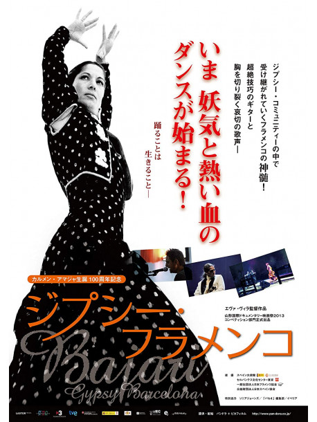 (Documentary) - Bajari [Edizione: Giappone]