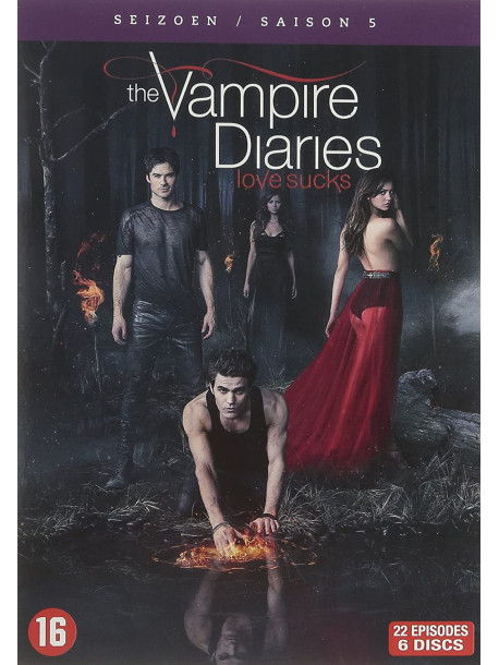 The Vampire Diaries Saison 5 (6 Dvd) [Edizione: Francia]