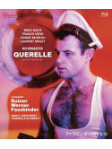 Brad Davis - Querelle [Edizione: Giappone]