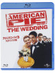 Jason Biggs - American Pie:The Wedding [Edizione: Giappone]