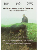 As If They Were Angels [Edizione: Stati Uniti]