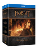 Le Hobbit La Trilogie (11 Blu-Ray) [Edizione: Francia]