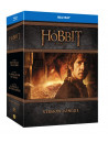 Le Hobbit La Trilogie (11 Blu-Ray) [Edizione: Francia]