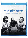 Bee Gees: Mend Broken Heart [Edizione: Stati Uniti]