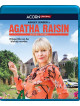 Agatha Raisin: Series 3 (3 Blu-Ray) [Edizione: Stati Uniti]